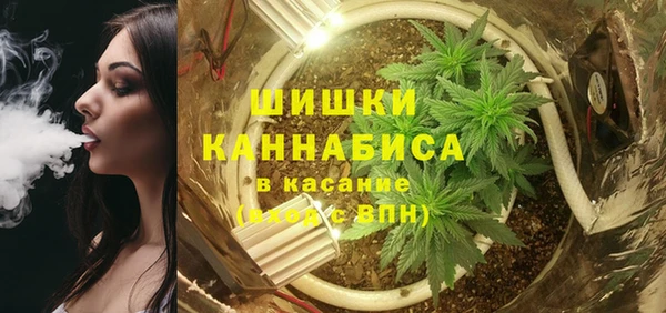 PSILOCYBIN Бугульма